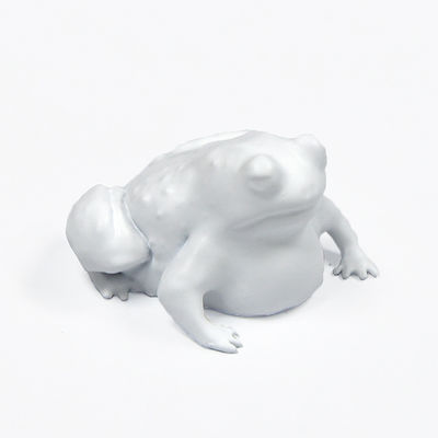 Small Frog Resin Resin Rapid Prototyping 3D Printing Service With Painting